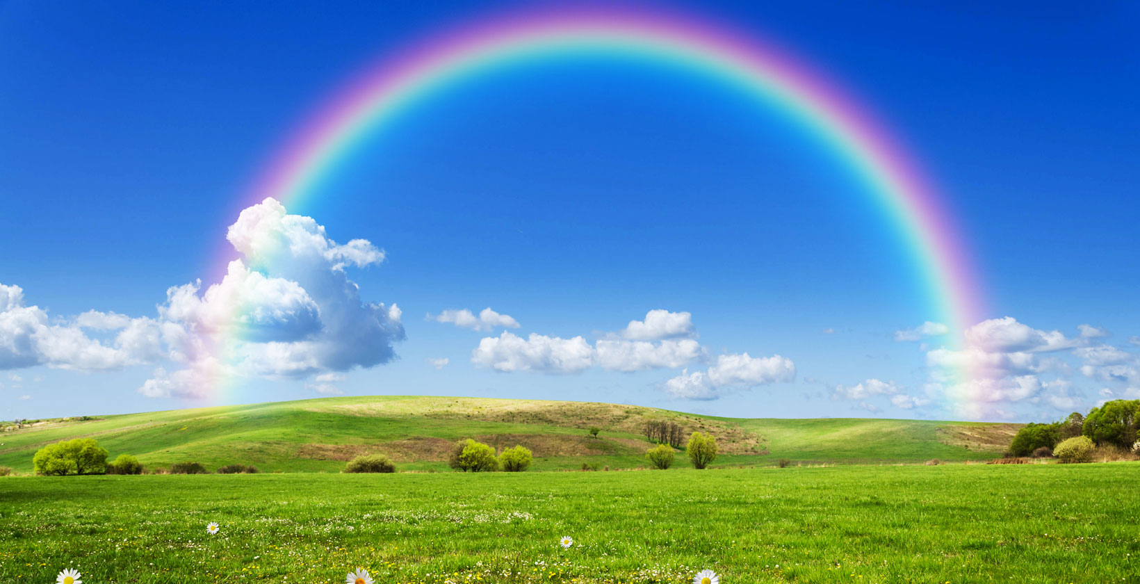 Follow me on 21-day healing journey